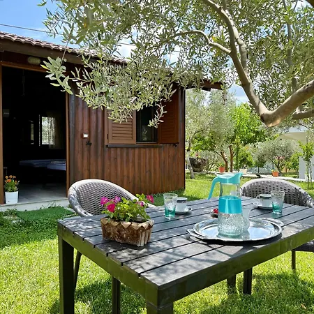 Gorani Πανσιόν 4*